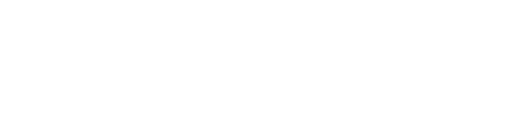 StN Logo